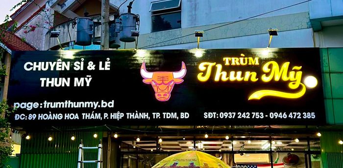 Trùm Thun Mỹ ảnh 1