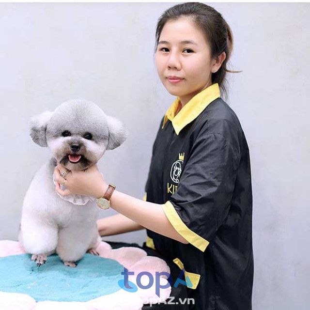 Khám phá dịch vụ cắt tỉa lông thú cưng chất lượng tại Cần Thơ