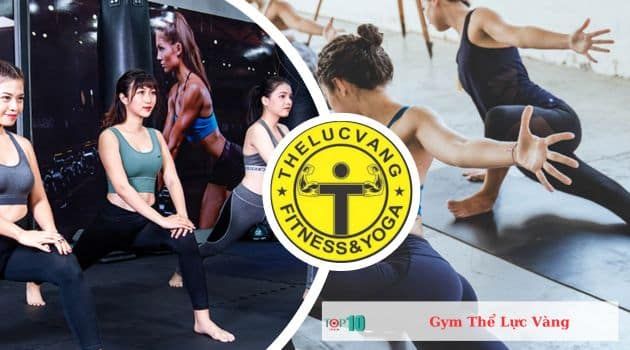 Gym Thể Lực Vàng - Nơi kiến tạo thể chất hoàn hảo