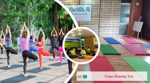 Yoga Hương Tre - Hành trình chăm sóc sức khỏe toàn diện