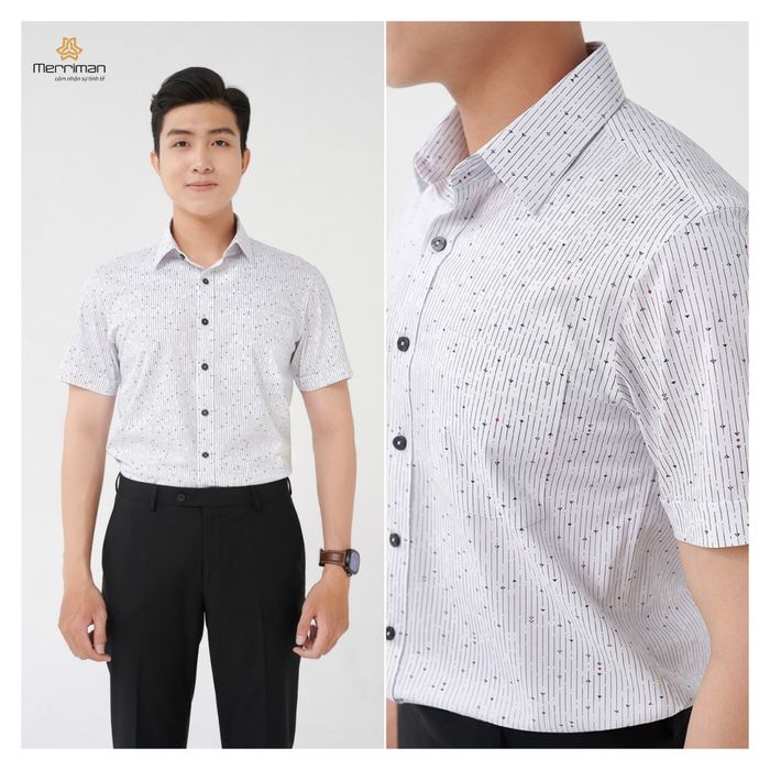 Hình ảnh Merriman 2