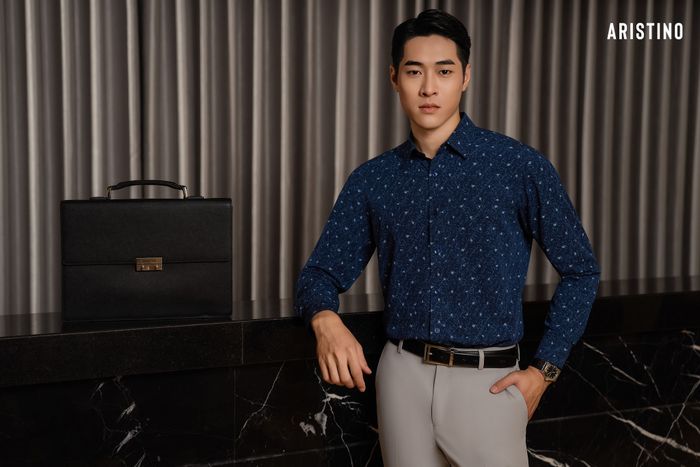 Hình ảnh Aristino 2