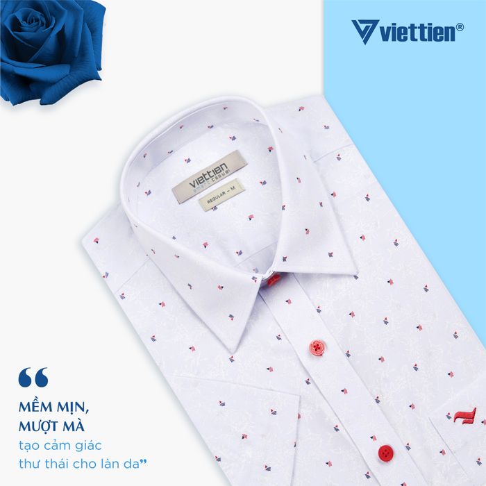 Việt Tiến hình ảnh 1