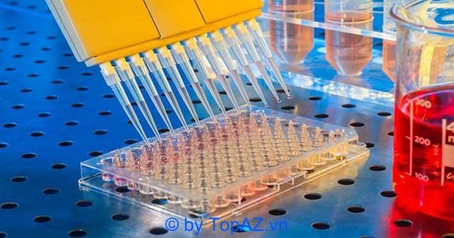 Địa chỉ xét nghiệm sán dải chó uy tín tại TP.HCM - Kết quả nhanh chóng, chính xác