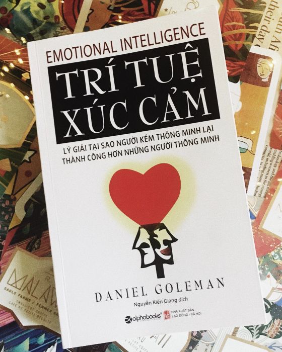Trí tuệ xúc cảm: Góc nhìn trực quan về thế giới nội tâm (Ảnh 2)
