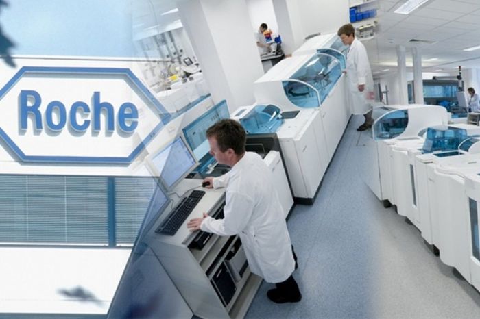 Hình ảnh minh họa Roche 2