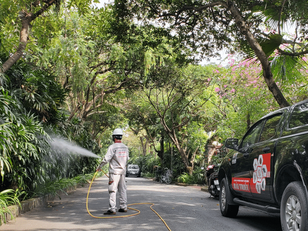 Công ty cổ phần trừ mối – côn trùng Hải Triều – Đơn vị diệt mối hàng đầu tại TPHCM