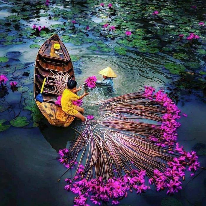 Lửa Việt Tours hình ảnh 2