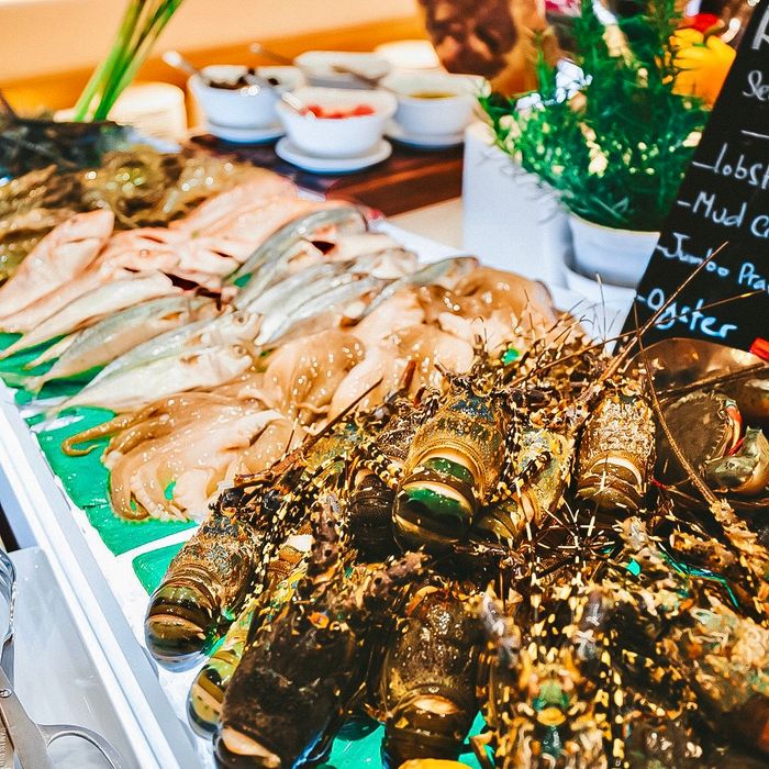 Manja Manja - Khung cảnh sang trọng và những món ngon đầy mê hoặc