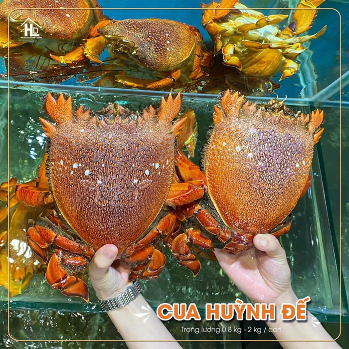 Hình ảnh khu vực buffet hải sản tại Nhà hàng Hàng Dương