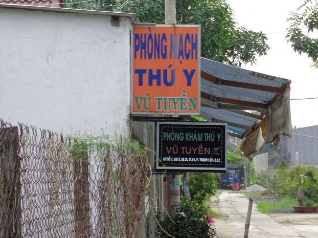 Vũ Tuyền - Một trong những phòng khám thú y đạt chuẩn chất lượng hàng đầu tại TP.HCM