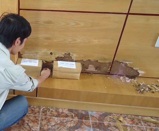 Công ty Thành Công – Top 10 đơn vị diệt mối tận gốc uy tín nhất hiện nay
