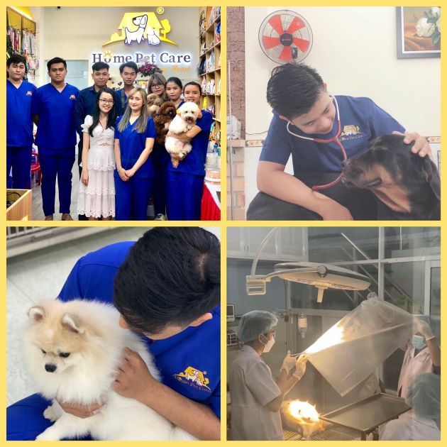 Home Pet Care - Hệ Thống Chăm Sóc Thú Y Tiêu Chuẩn