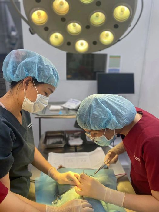 Khu vực lưu chuồng cao cấp tại TrustVet Animal Hospital