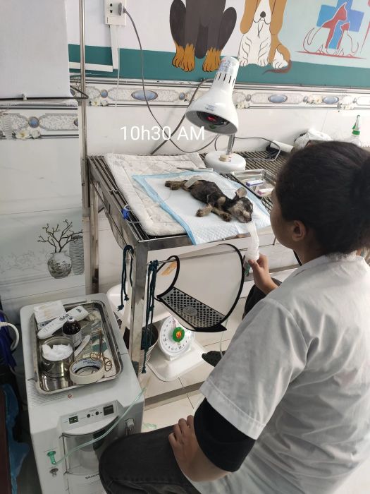 Khu vực phẫu thuật tiêu chuẩn tại Phòng khám Thái Bình