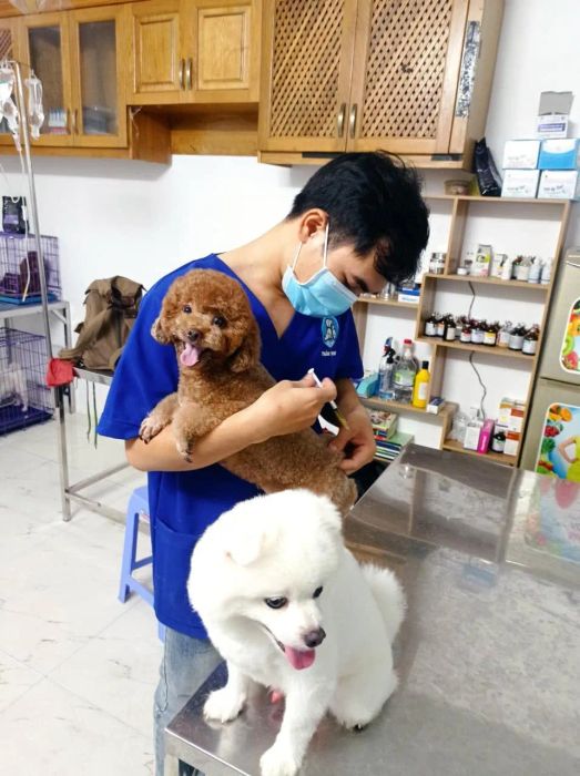 Khu vực spa và chăm sóc thú cưng tại Thú Y Su Pet