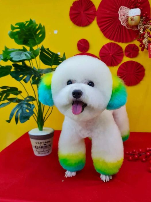 Không gian hiện đại tại Thú Y GO VET