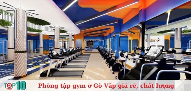 Values Sports Gym – Nơi định hình phong cách sống khỏe và chất