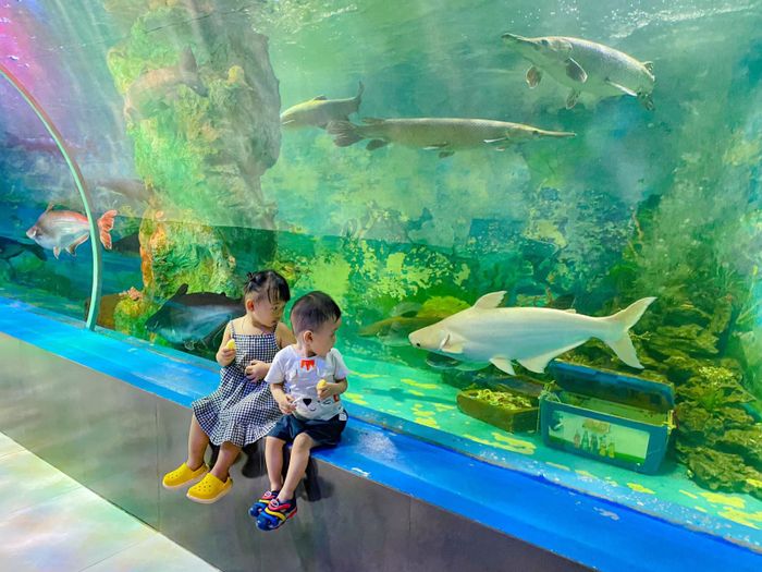 Hình ảnh đầu tiên về thế giới đại dương tại Thủy cung Thiên Đường Bảo Sơn