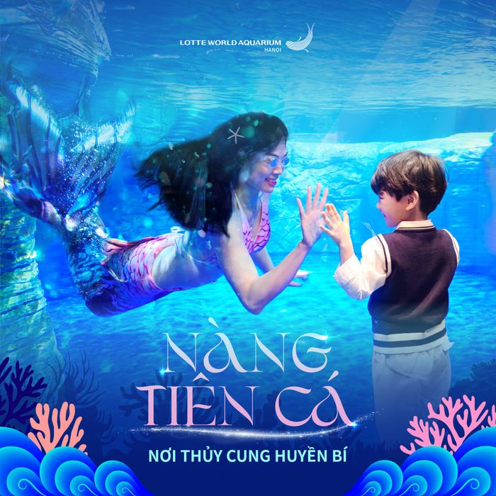 Hình ảnh ấn tượng về thế giới đại dương tại Thủy cung Lotte World