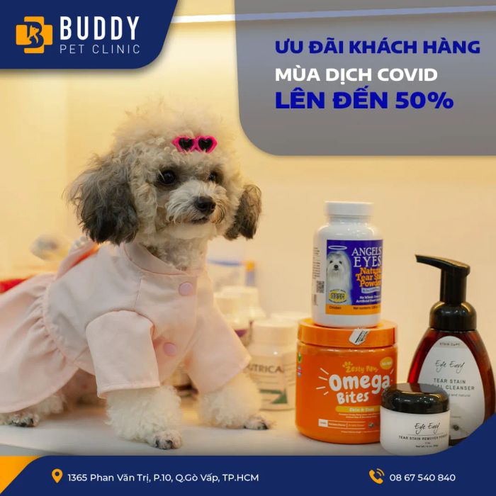 Khu vực điều trị hiện đại tại Thú Y Buddy Pet