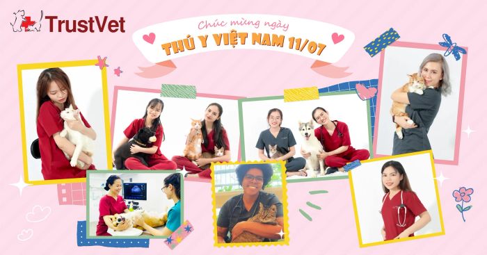 Không gian khám chữa bệnh tiêu chuẩn quốc tế tại TrustVet Animal Hospital