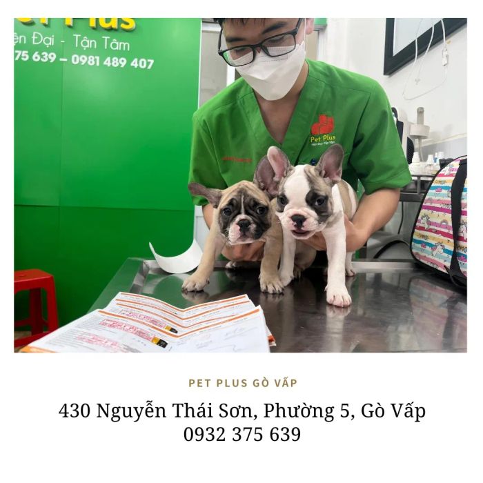 Hình ảnh không gian hiện đại tại Phòng Khám Thú Y Pet Plus