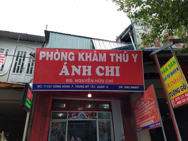 Phòng Khám Thú Y Ánh Chi - Nơi yêu thương hóa thành hành động