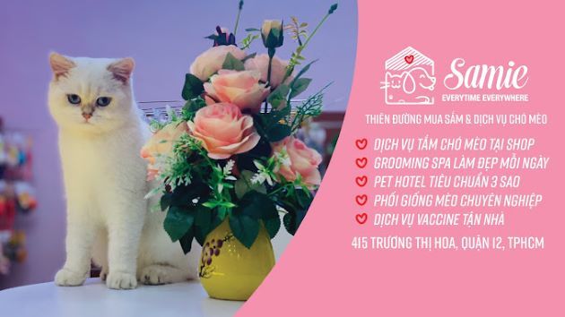 Samie Pet Shop - Nơi yêu thương được đo bằng chất lượng phục vụ