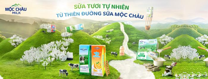 Hình ảnh nông trại bò sữa Mộc Châu giữa cao nguyên