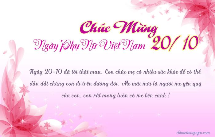 Hình ảnh minh họa: Người phụ nữ Việt Nam trong ngày lễ 20/10