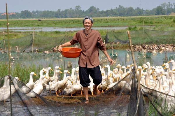 Công ty TNHH MTV Vàng Bạc Đá Quý Ngân hàng Sài Gòn Thương Tín (Sacombank-SBJ) hình ảnh 1