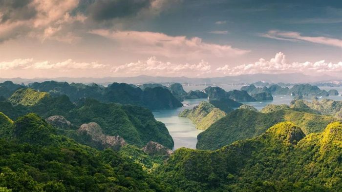 Bức tranh thiên nhiên hùng vĩ của Vườn Quốc gia Cát Bà