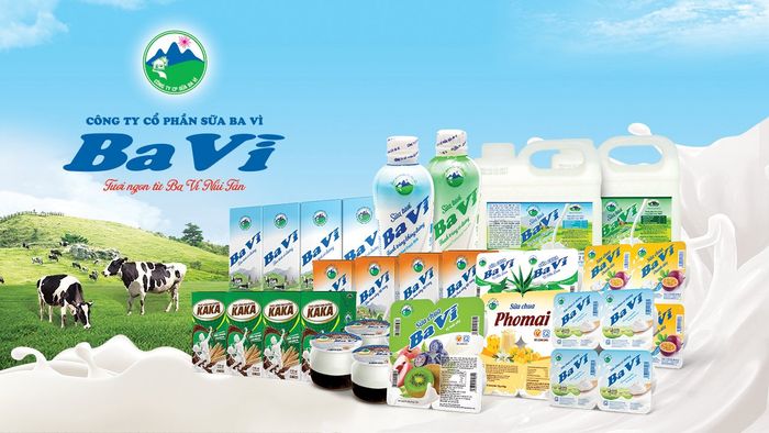 Hình ảnh nông trại bò sữa xanh mát của Bavimilk tại Ba Vì