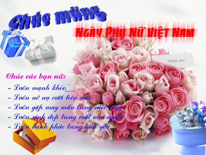 Hình ảnh minh họa: Người phụ nữ Việt Nam anh hùng