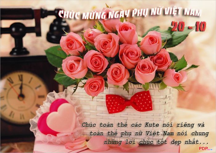 Hình ảnh minh họa đặc sắc chọn lọc từ nguồn internet