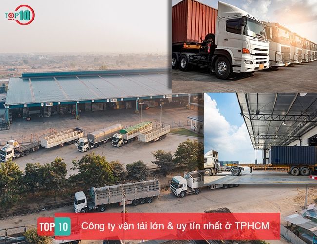 Các công ty vận tải lớn tại TP.HCM