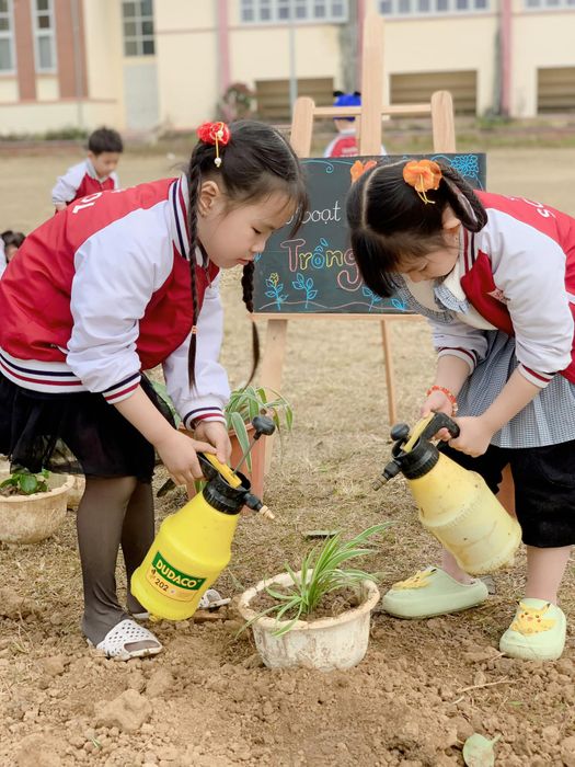 Hoạt động vui chơi sáng tạo tại Mầm Non Little Bees