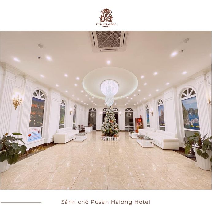 Pusan Halong Hotel ảnh 1
