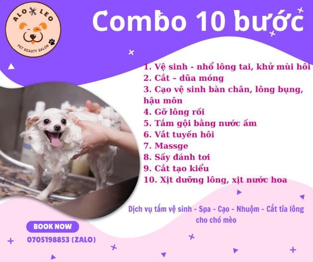 LEO PET HOUSE - Đối tác chăm sóc thú cưng đáng tin cậy