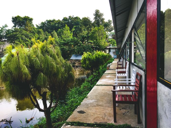 Homestay Biển Rừng - Ảnh 1