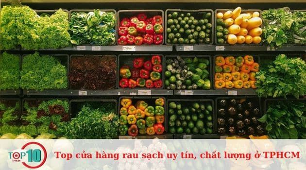 Danh sách những cửa hàng rau sạch uy tín và chất lượng tại TPHCM, giúp bạn dễ dàng tìm được địa chỉ tin cậy để mua thực phẩm tươi ngon.