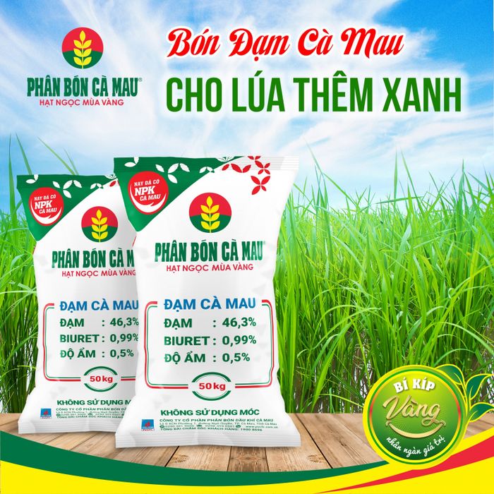 Hình ảnh dây chuyền sản xuất phân bón hiện đại của PVCFC