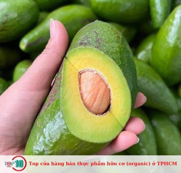 Vi Food - Tinh hoa ẩm thực hữu cơ và thực dưỡng