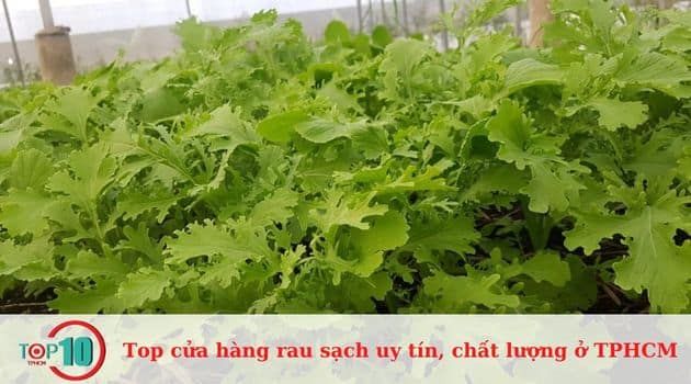 Cửa Hàng Thực Phẩm Hữu Cơ Hoa Sữa