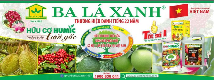 Hình ảnh nhà máy sản xuất phân bón hữu cơ hiện đại của Ba Lá Xanh