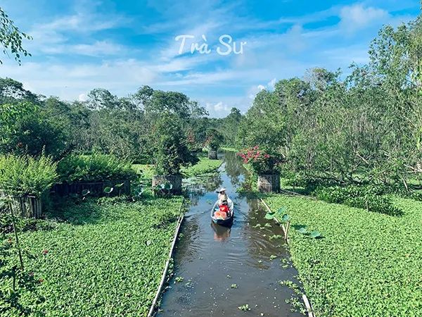 Rừng Tràm Trà Sư qua góc nhìn nghệ thuật
