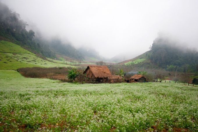 Bản Pá Phách - ảnh 2