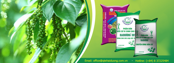 Hình ảnh nhà máy sản xuất phân bón hiện đại của Hải Dương