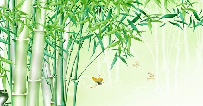 Hình ảnh minh họa ấn tượng (Nguồn: internet)